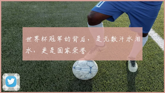 世界杯冠军的背后，是无数汗水泪水，更是国家荣誉